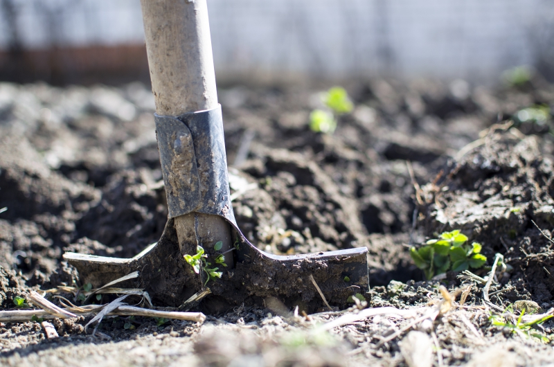 jardinerie-STE ANASTASIE SUR ISSOLE-min_equipment-2047314